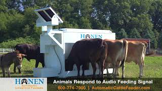 Hanen Automatic Livestock Feeders [upl. by Tekcirk748]