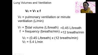 816 min ventilation amp dead space [upl. by Kutchins]