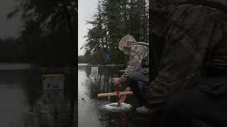 Brook Trout Takes Bait  Ice Fishing [upl. by Acira]