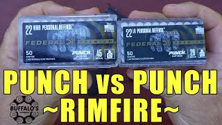 22LR vs 22 MAGNUM self defense ammo  PUNCH 👊 [upl. by Oiludbo]