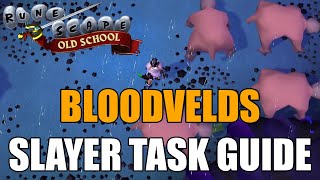 Bloodvelds Slayer Task Guide  Old School RuneScape [upl. by Auqenahc783]