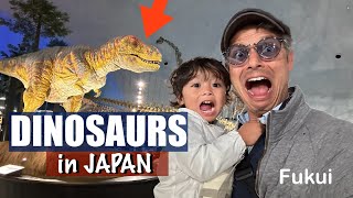 Japan’s Amazing DINOSAUR Museum  Fukui Katsuyama [upl. by Rovner]