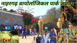 nahargadh biological park jaipur  nahargadh zoo  नाहरगढ बायोलॉजिकल पार्क  jaipur tourist point [upl. by Kalam]