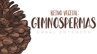 GIMNOSPERMAS  Reino Vegetal [upl. by Akeim254]