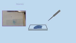 AQA A LEVEL BIOLOGY  REQUIRED PRACTICAL 2 PREPARE A MICROOSCOPE SLIDE [upl. by Yelsnit]