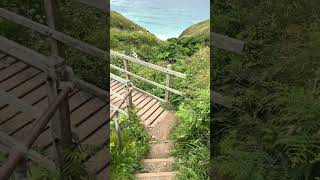 Zennor Costal Path St Ives Cornwall UK June 27 2024 [upl. by Alcot]