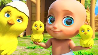 🐤🐥Los Pollitos Dicen Pio Pio 🎶 Canciones Infantiles para niños  looloo kids español [upl. by Bonny564]