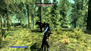 Skyrim Archery Level 100 Fast with Bound Bow [upl. by Tacita120]