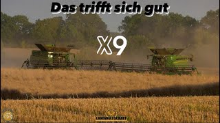 Das trifft sich gut 2x  X9  1100 amp 8900 Lexion Rapsernte an der Ostsee Großeinsatz Raps dreschen [upl. by Colette750]