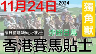 賽馬貼士 11月24日沙田日馬免費賽馬貼士赛马贴士獨角獸香港賽馬貼士頻道賽馬投資賽馬貼士 [upl. by Llednor]