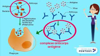 Réaction immunitaire spécifique [upl. by Zorine]