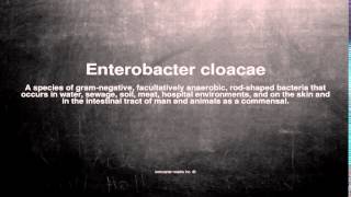 Medical vocabulary What does Enterobacter cloacae mean [upl. by Gwenny]