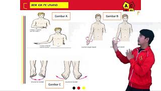 Pengenalan DasarDasar Anatomi  Part 2  Anatomy Video eps01 [upl. by Maggee]