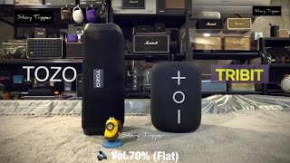 TOZO PA2 vs TRIBIT StormBox Mini [upl. by Eeresid]