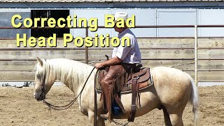 How To Correct Your Horse’s Bad Head Position [upl. by Ahsaercal]