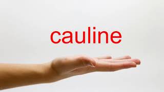 How to Pronounce cauline  American English [upl. by Hitt369]