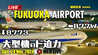 LiVE Fukuoka FUK Airport Plane Spotting✈️福岡空港ライブカメラ Sun 24 Nov 2024 FUKRJFF [upl. by Leidag]