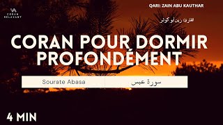 Coran pour Dormir Profondément  Sourate Abasa [upl. by Assecnirp431]