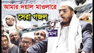 আমার দয়াল মাওলারে হাফিজুর রহমান সিদ্দিকীর সেরা গজল। Hafizur Rahman Siddiki New Gojol 2019 [upl. by Laux]