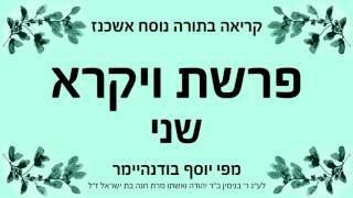 פרשת ויקרא  שני  נוסח אשכנז [upl. by Onnem]