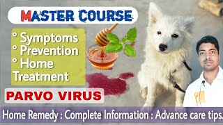 Master course  Parvo virus in dogs  Homemade treatment [upl. by Dewhurst]