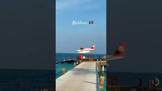 maldives seaplane landing 🛬 reethifaruresort dubaii habibicometodubai [upl. by Ymiaj431]