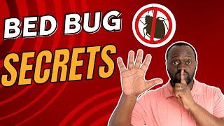 5 SECRETS to Getting Rid of Bed Bugs [upl. by Anav]