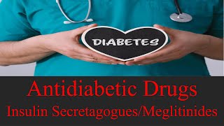 Insulin Secretagogues I Meglitinides I Repaglinide [upl. by Truitt46]