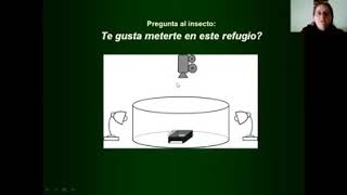 Dónde se esconden las vinchucas POPULARIZACIÓNdesdecasa Biología [upl. by Gardner]