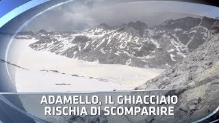 Adamello il Ghiacciaio rischia di scomparire  RAI TG1 [upl. by Brawley]