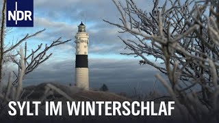 Sylt im Winter  Auszeit vom Saisontrubel  Nordseereport  NDR Doku [upl. by Wj]