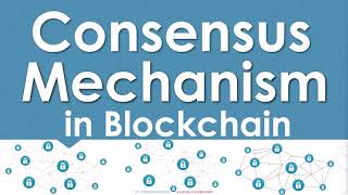 What is Consensus Mechanism in Blockchain [upl. by Noicnecsa]