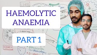 HAEMOLYTIC ANAEMIA hematology anemia [upl. by Myles]