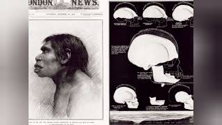 The Piltdown Man Hoax Unraveling the Greatest Scientific Fraud in History [upl. by Macmillan]