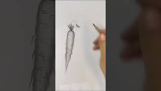 Easy butterfly and carrot drawing with me drawing charcoal [upl. by Lavena]