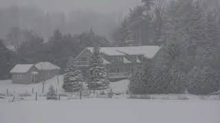 Ambiance de tempête de neige avec hurlements glaciaux  Bruit de neige pour dormir et se détendre [upl. by Annairol561]