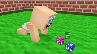 baby  Minecraft Animation [upl. by Phelips]