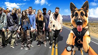 Rescuing a DOG from ZOMBIES Arizona Sunshine 2 [upl. by Aynam]