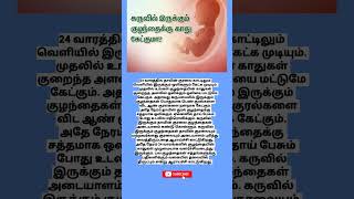 24 வாரத்தில் வயிற்றில் உள்ள குழந்தைக்கு காது கேட்குமா [upl. by Suoirtemed]