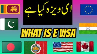 EVisa  Visa Online  what is e visa [upl. by Beuthel]