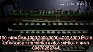 Incubator Assam barpeta road mobile Number 919678252744 9435843237 [upl. by Jaimie]