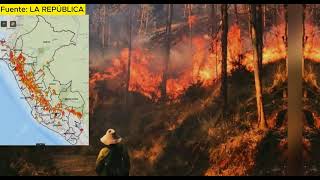 Indeci ha reportado incendios forestales en 22 regiones de Perú en lo que va de 2024 [upl. by Banyaz389]