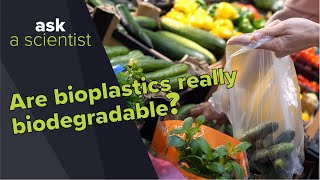 Are bioplastics really biodegradable  Ask a Scientist [upl. by Myrtie]