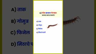 गोम कानात गेल्यास कानात काय टाकावे   GK Questions and Answers  shorts [upl. by Yliram]