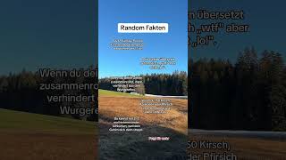 Random Fakten goviral youtubeshorts liebe beziehung love [upl. by Atteselrahc]