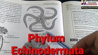 Phylum Echinodermata in HindiUrdu [upl. by Konrad]