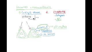 Secondary hyperaldosteronism Cushings disease renovascular HT Water part 3 by Coiled ENGLISH [upl. by Orsa]