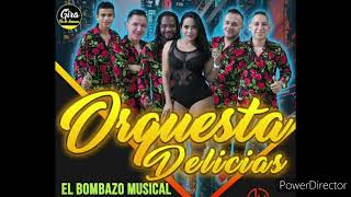 Orquesta Delicias  Corazones Petatiados Punta Parranda En Vivo Yarumela [upl. by Aracaj749]