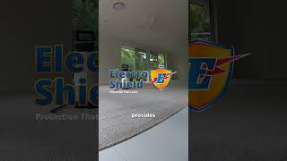 Get the Best Carpet Dry Clean with Electrodry shorts fypyoutube [upl. by Girovard133]