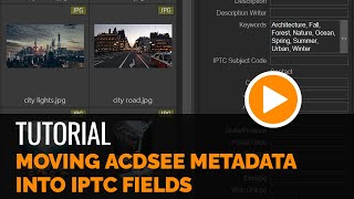 Moving ACDSee Metadata into the IPTC field  Tutorial [upl. by Nerok]